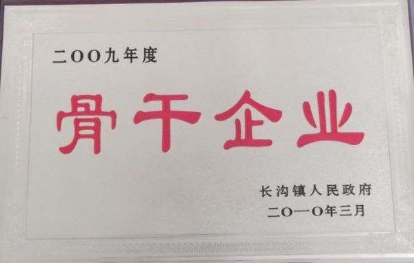 2009年度長(zhǎng)溝鎮(zhèn)人民政府骨干企業(yè)