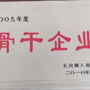 2009年度長(zhǎng)溝鎮(zhèn)人民政府骨干企業(yè)